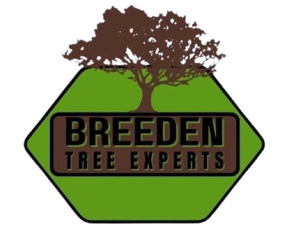 Breeden Tree Experts